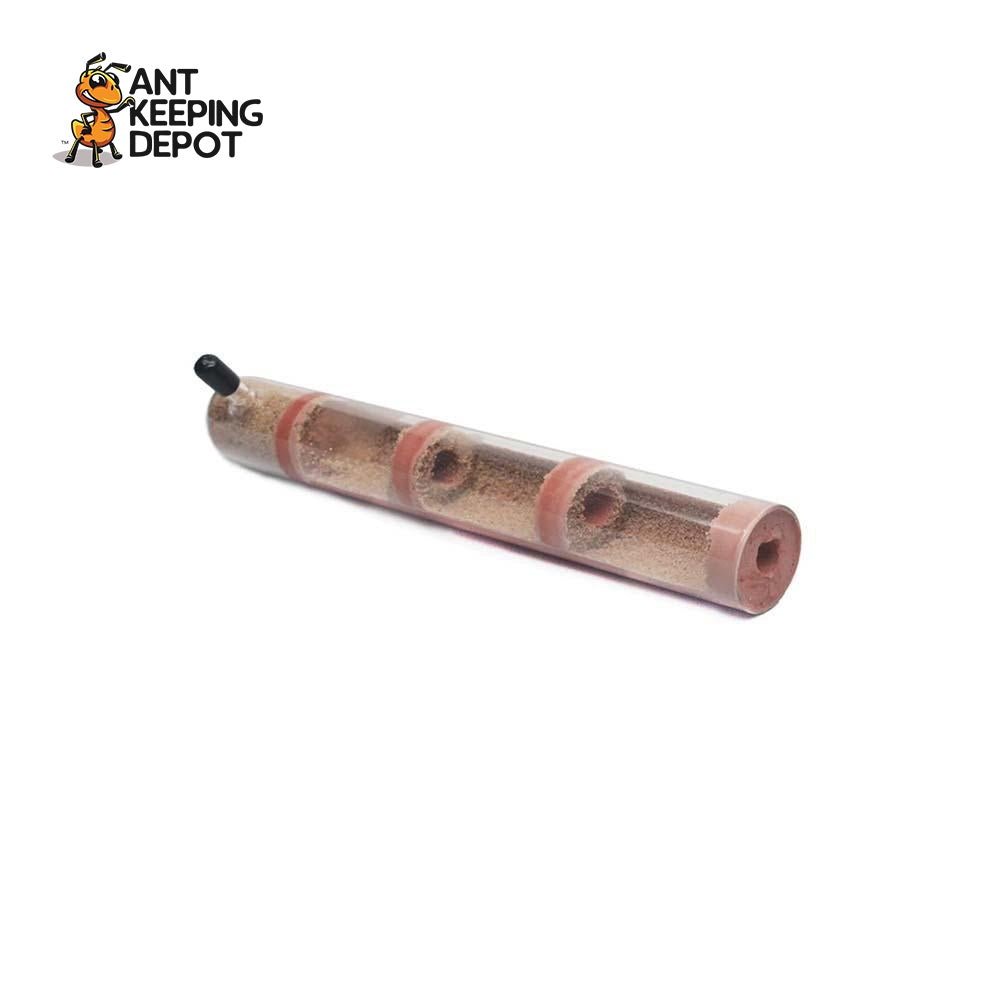 AKD Test Tube Nest 15mm x 150mm