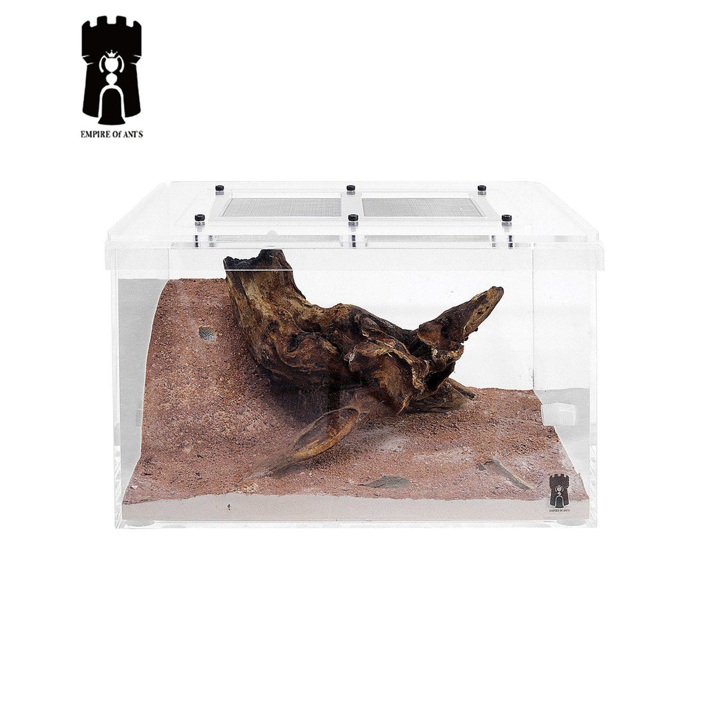 Empire of Ants Large Wilderness