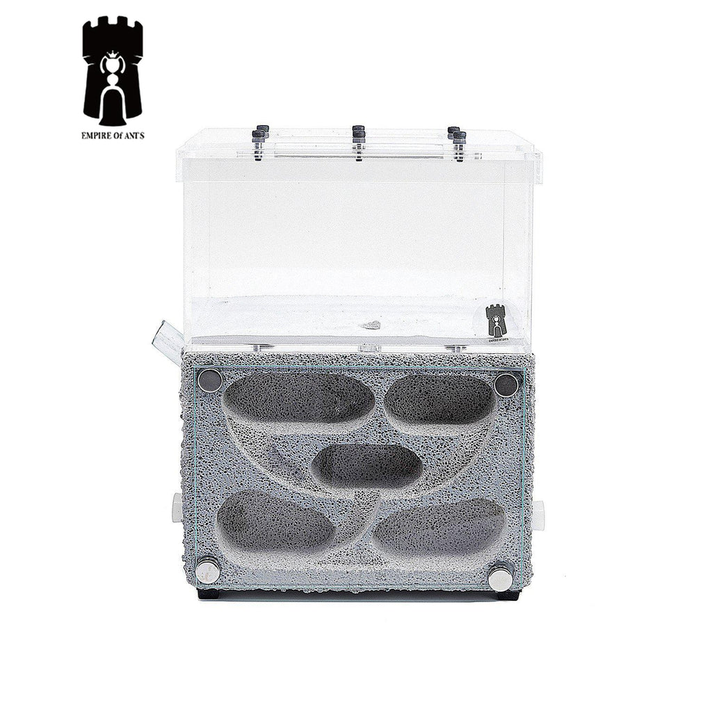 Empire of Ants Limestone