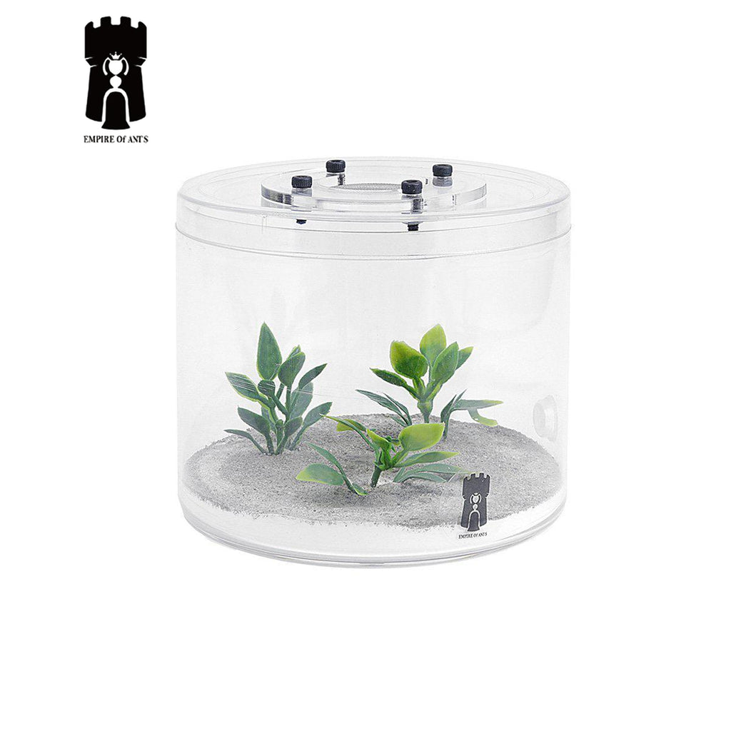 Empire of Ants "Grass & Stone" Outworld