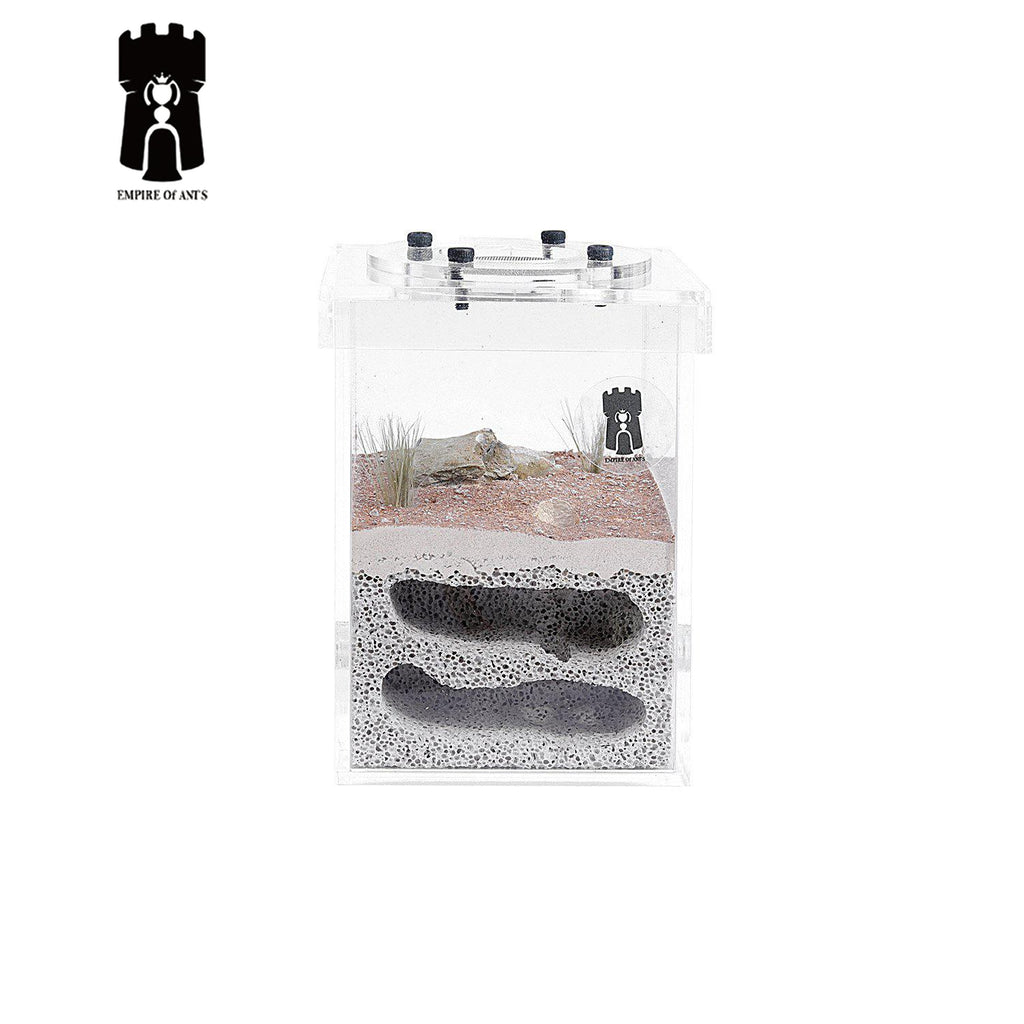Empire of Ants Mini Wilderness