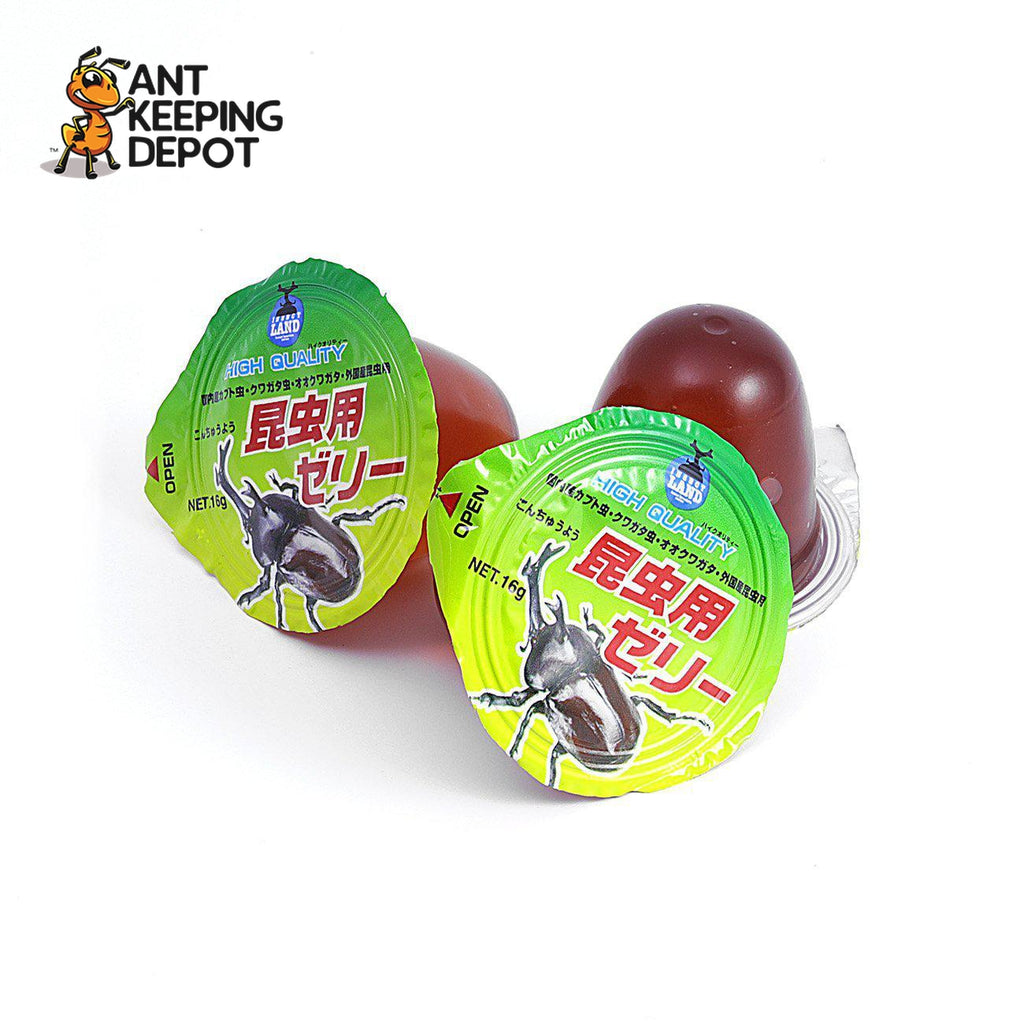 BIG48 Japanese Protein Jelly (3pc)