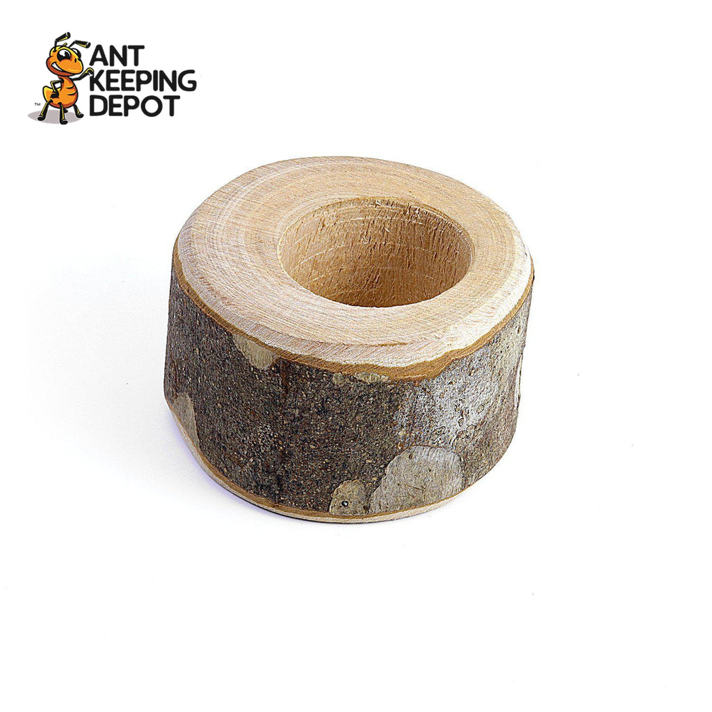 Protein Jelly Holder