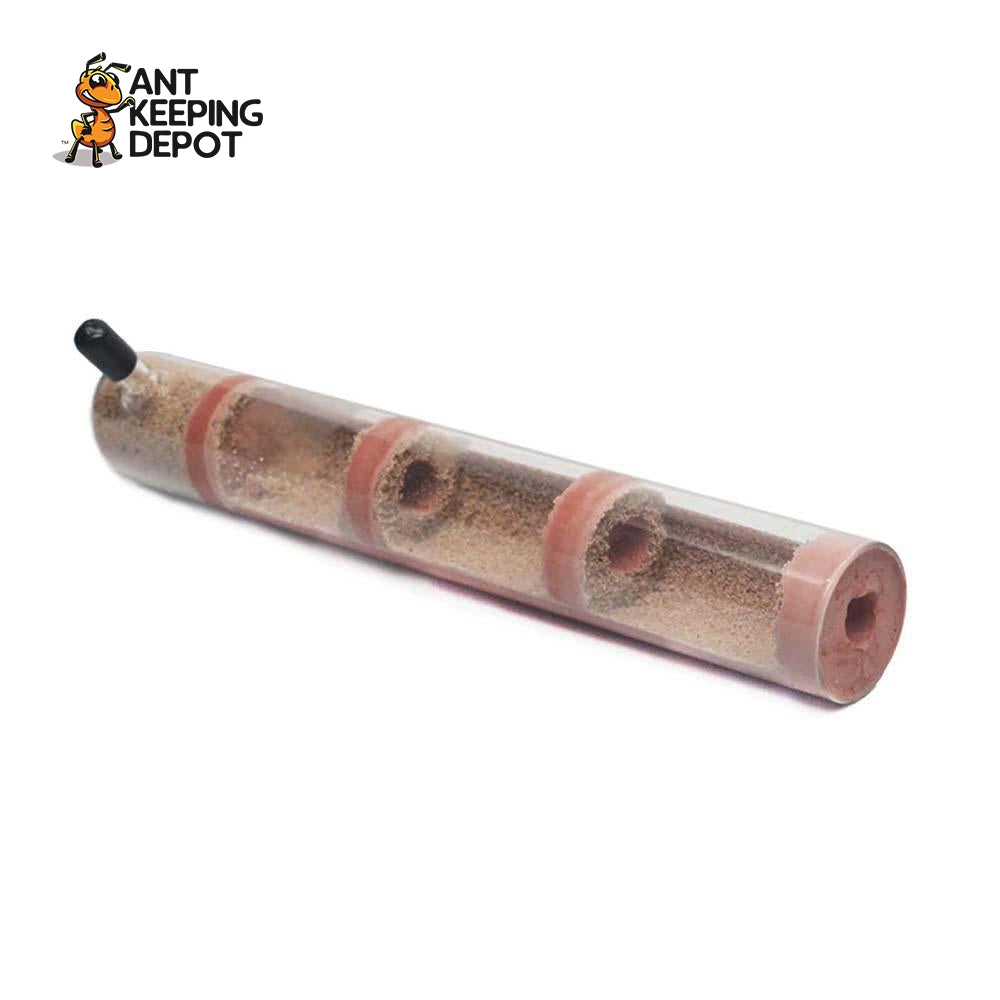 AKD Test Tube Nest 20mm x 180mm