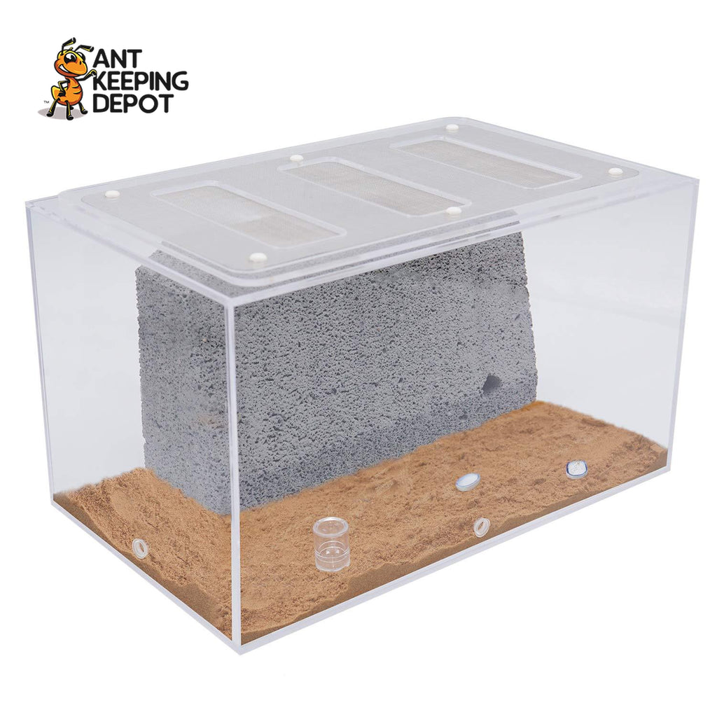 Bull Ant Castle YTONG Large