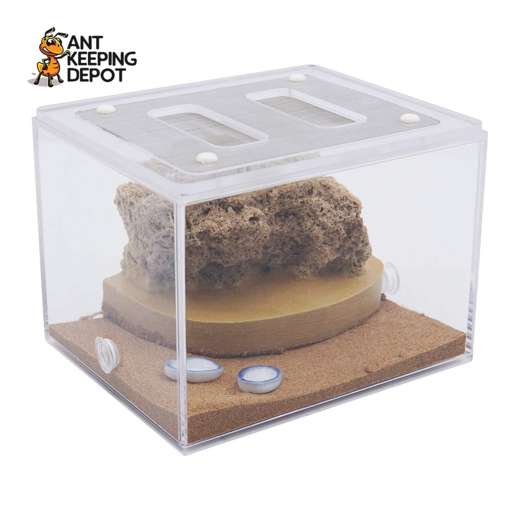 Bull Ant Castle Stone Small