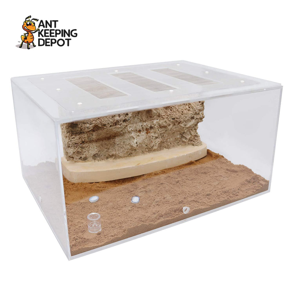 Bull Ant Castle Stone Extra Large