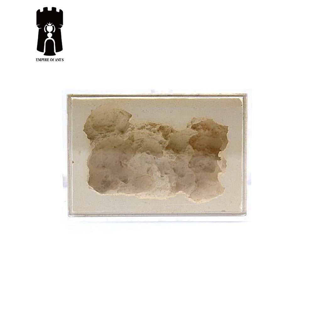 Empire of Ants Plaster Nest PCS1