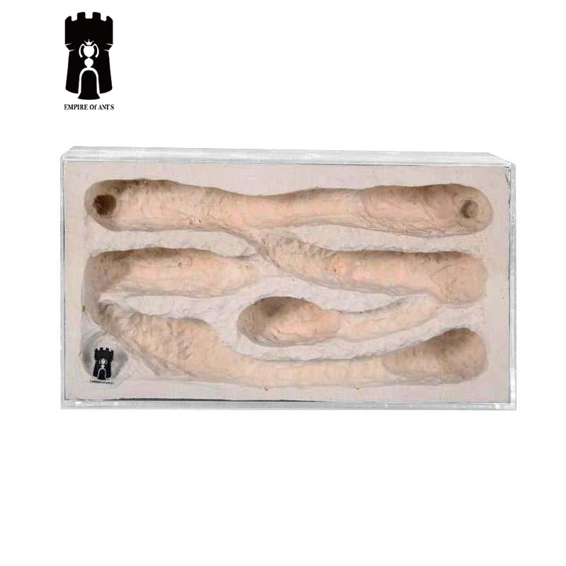 Empire of Ants Plaster Nest PCL1