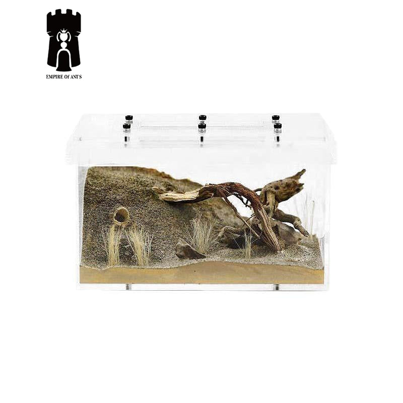 Empire of Ants Little Wilderness