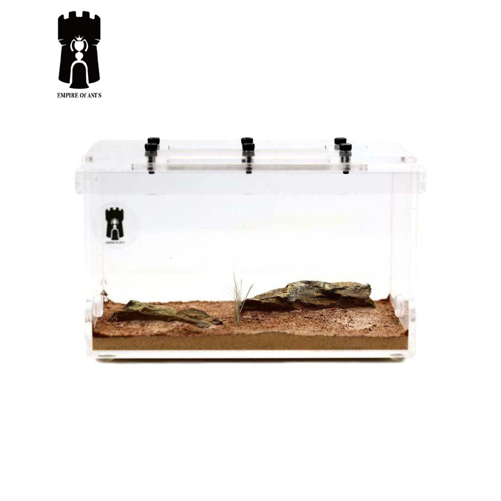 Empire of Ants "Wilderness" Outworld