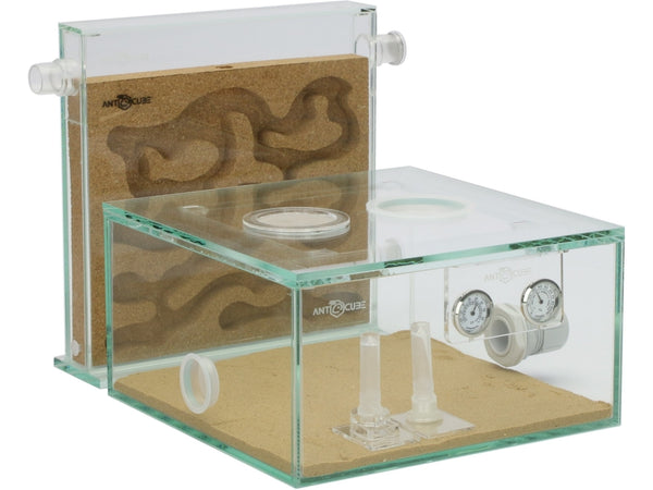 ANTCUBE Starter Set – 20×20 – Cork – Ant Keeping Depot