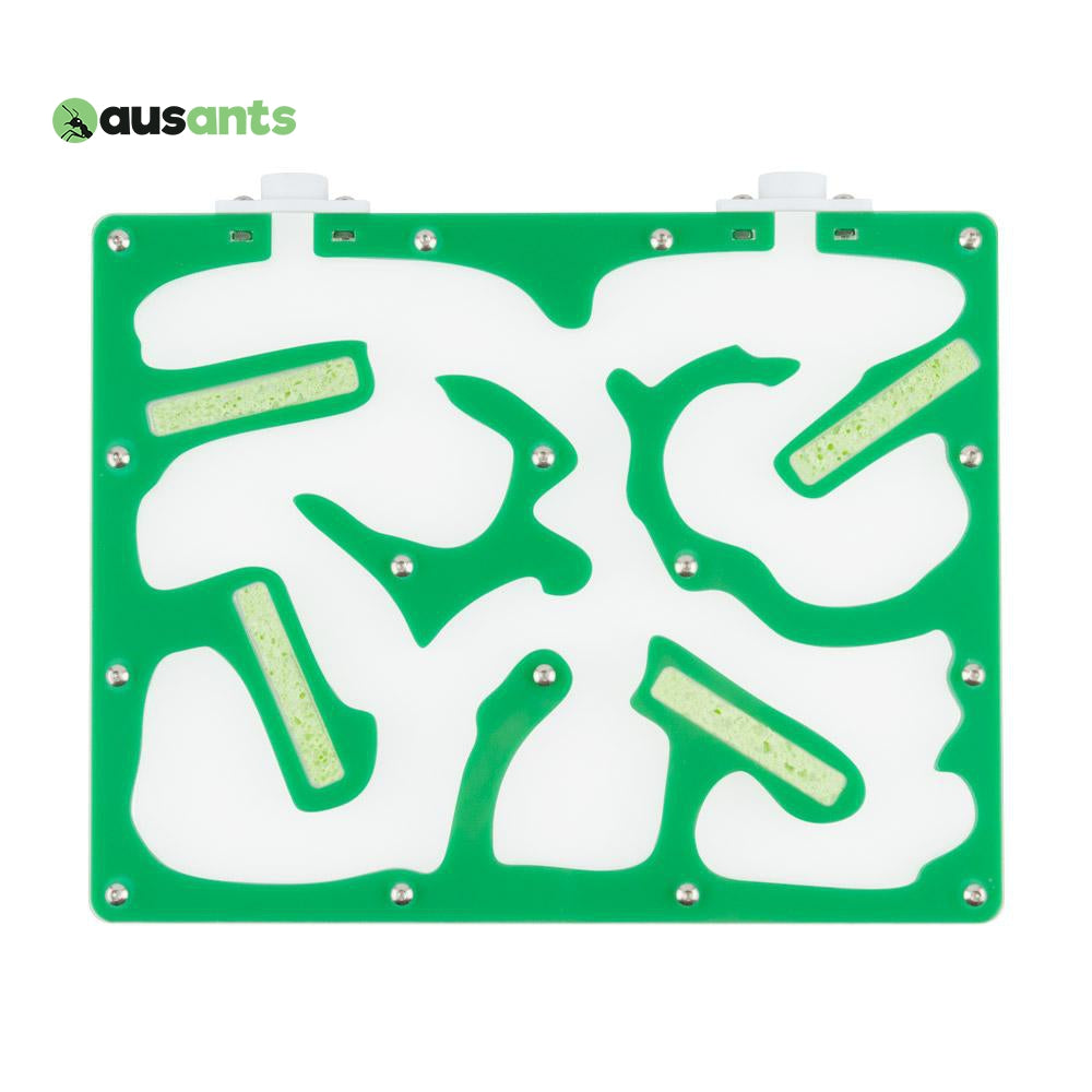 Aus Ants Acrylic Nest Large