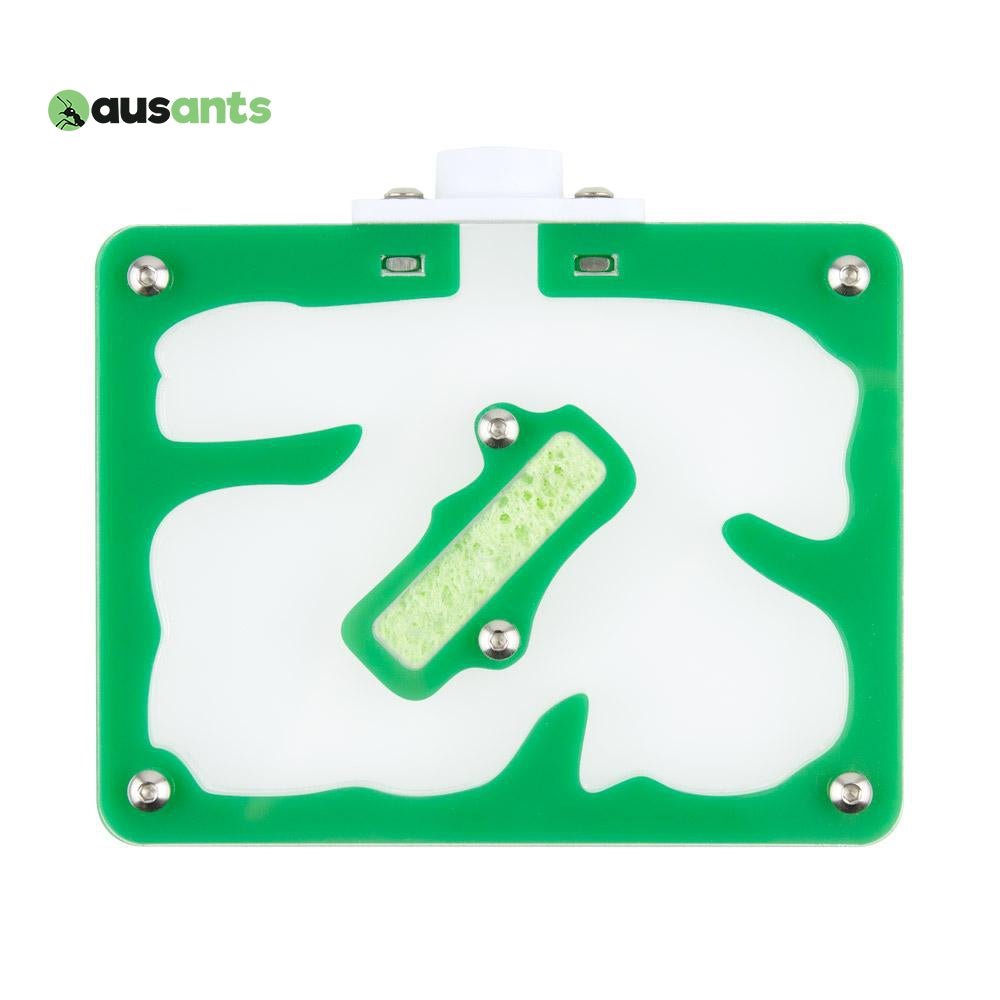 Aus Ants Acrylic Nest Small