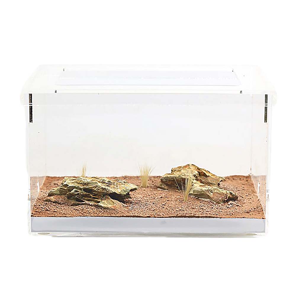 Empire of Ants "Wilderness" Outworld Large