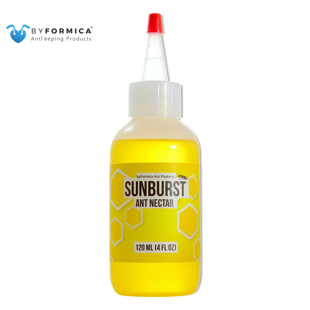 byFormica SUNBURST Ant Nectar - 120 ml
