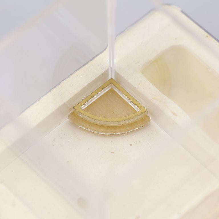 Empire Of Ants Corner Feeding Dish