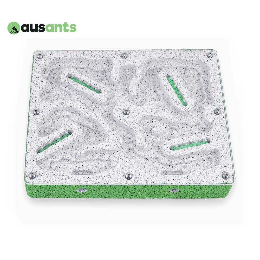 Aus Ants Ytong Nest Large