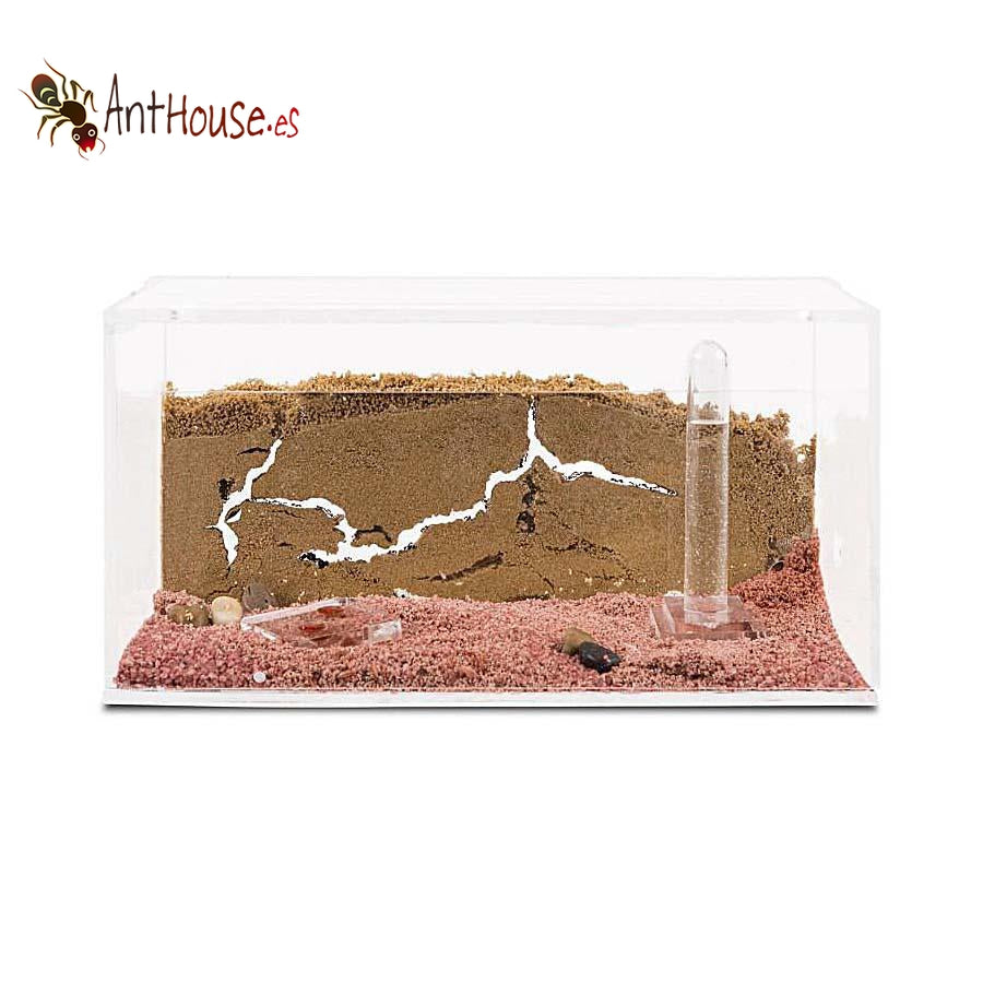 AntHouse Acrylic/Sand Starter Kit