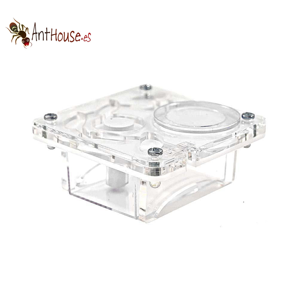 AntHouse Acri Mini (Mushroom)