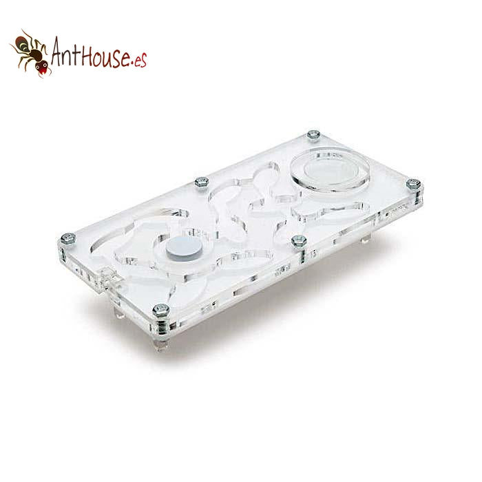 AntHouse Acri Medium (Mushroom)