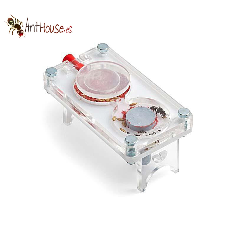 AntHouse Acri King 9x4x1 (Mushroom)