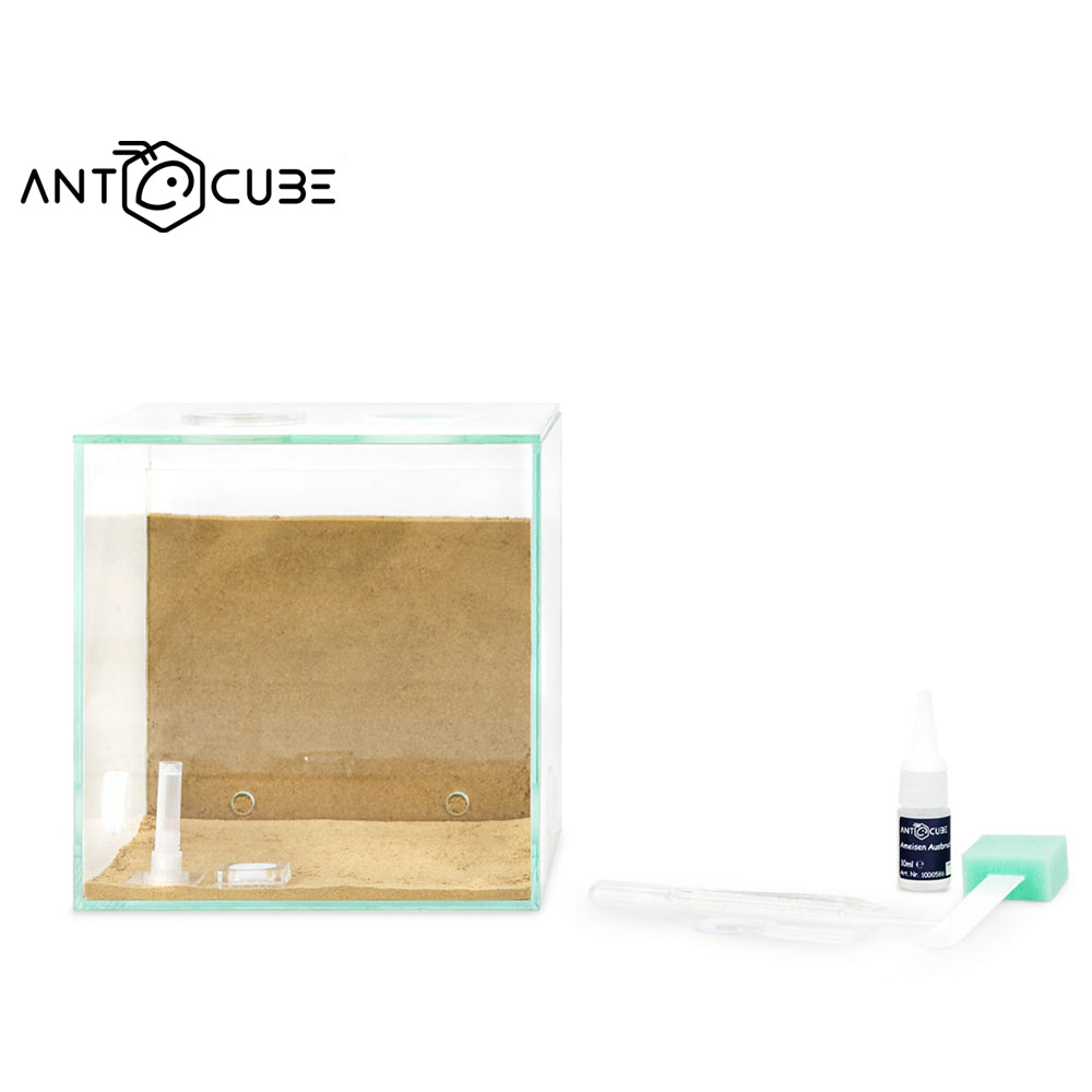 ANTCUBE Starter Set – 20×20 – Combi