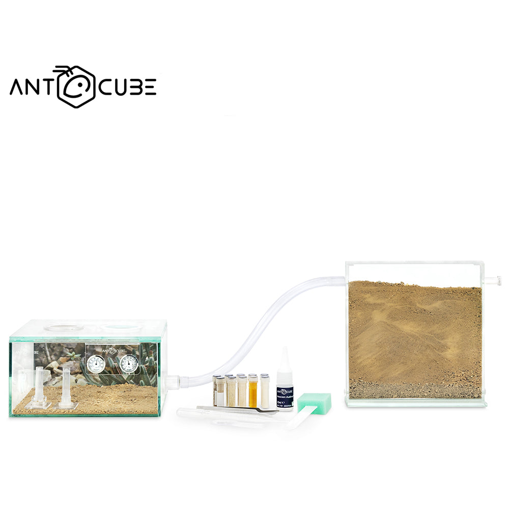 ANTCUBE Starter Set – 20×20 – Desert