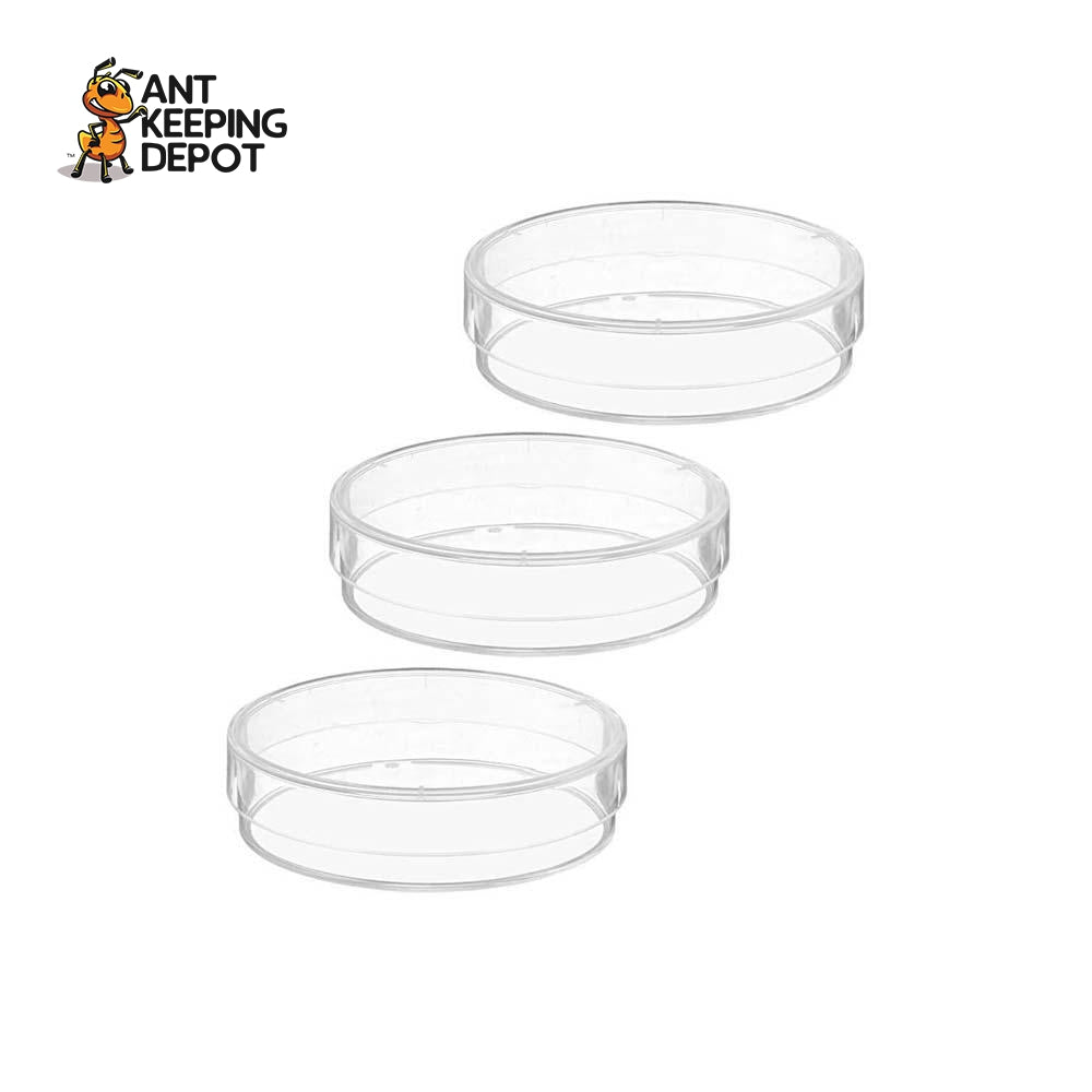 Feeding Dish 35mm Round (3pc)