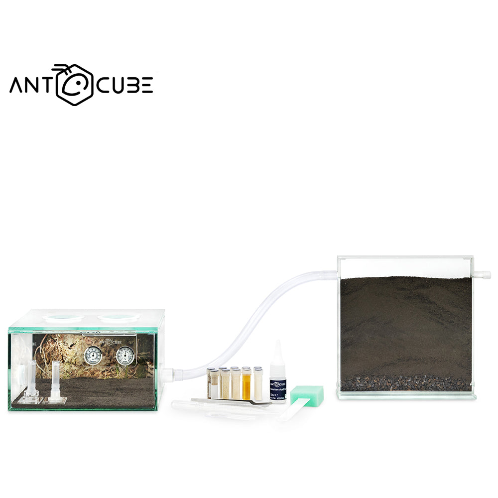 ANTCUBE Starter Set – 20×20 – Forest