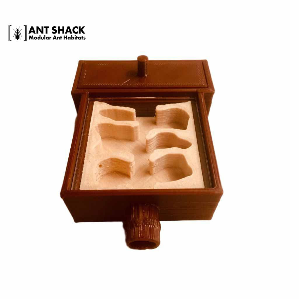 Ant Shack Mini Ant Nest
