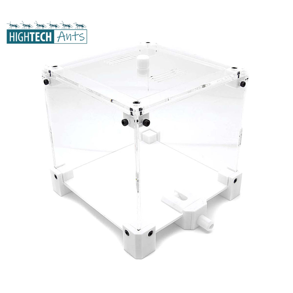 HighTech Ants Outworld Small