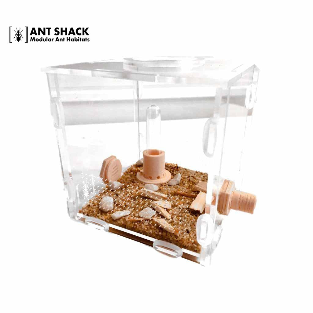 Ant Shack Outworld Medium Kit