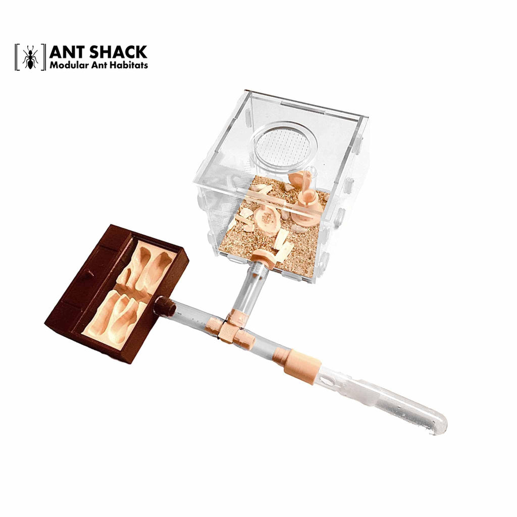 Ant Shack Natural Ant Habitat Medium