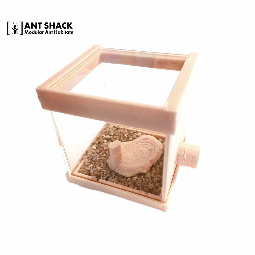Ant Shack Outworld Small Kit
