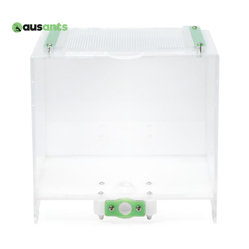 Aus Ants Acrylic Outworld Medium