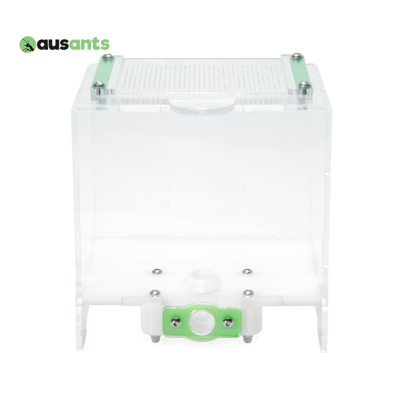 Aus Ants Acrylic Outworld Small