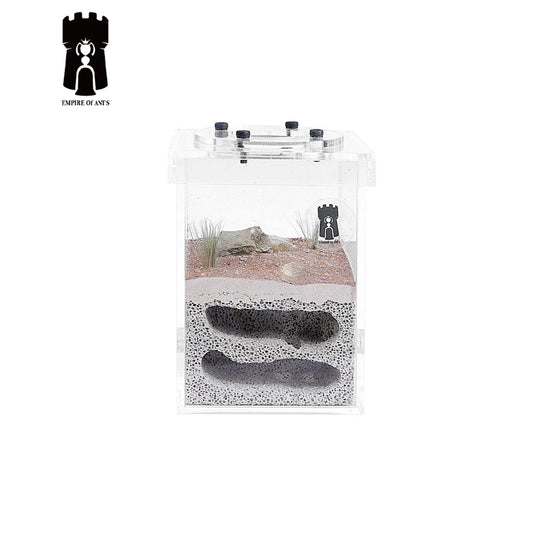 Empire of Ants Mini Wilderness