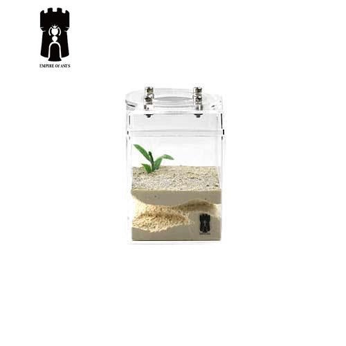 Empire of Ants PH Formicarium