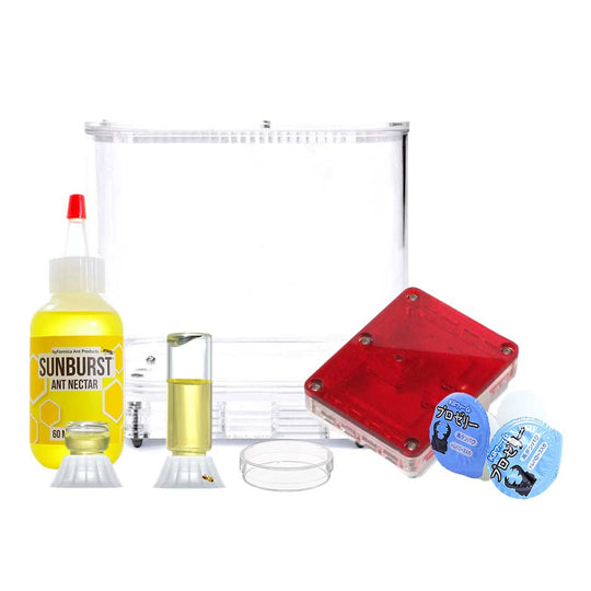 AntKit Beginner Kit +