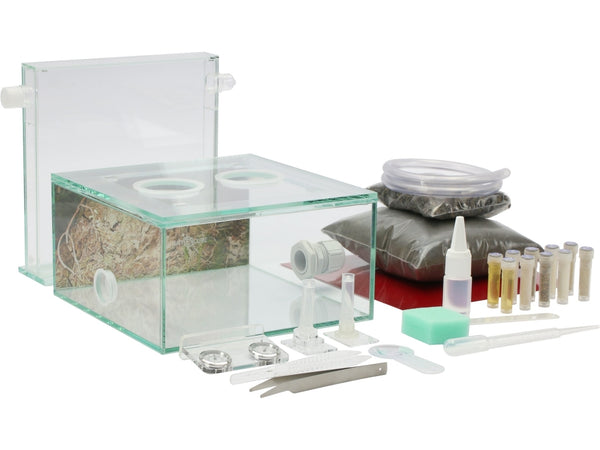 ANTCUBE Starter Set – 20×20 – Forest – Ant Keeping Depot