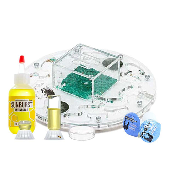 AntHouse Beginner Kit +