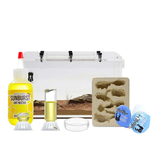 Empire Of Ants Beginner Kit +