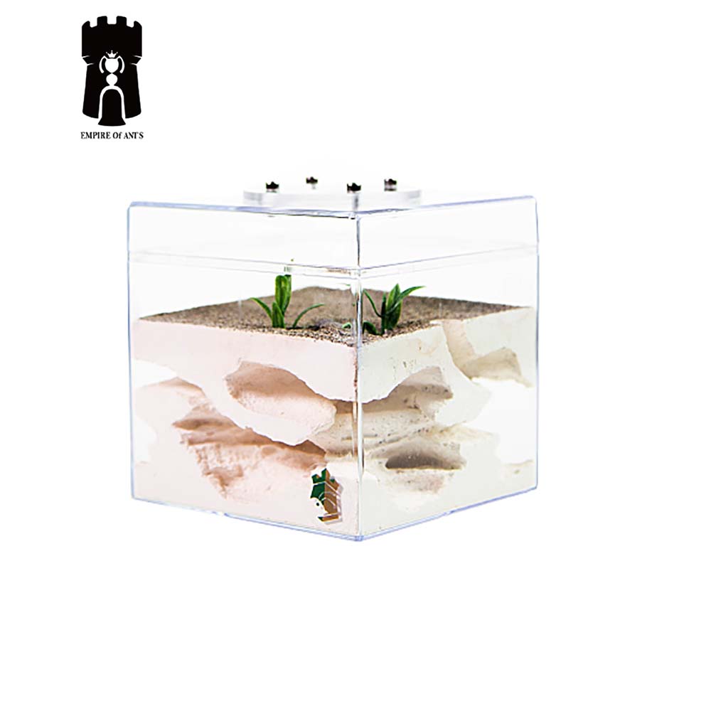 Empire of Ants F1 Formicarium