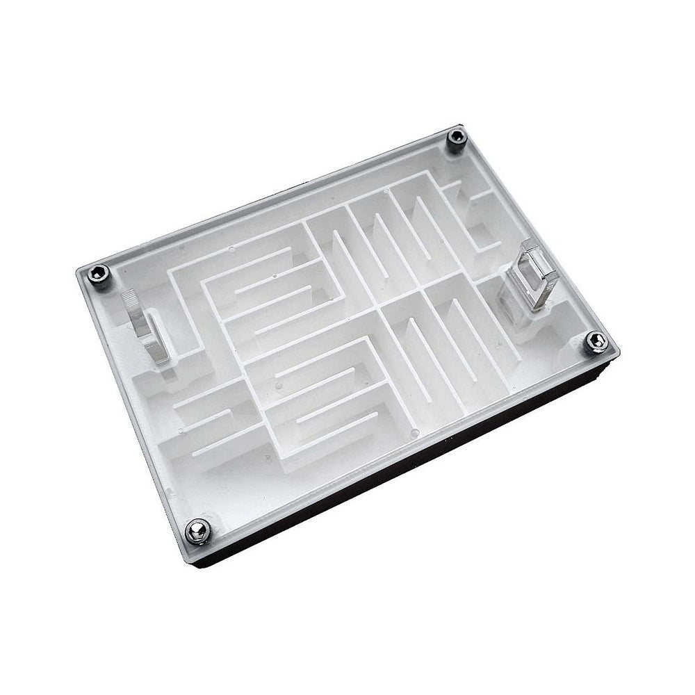 Formiculture Labyrinthe Ant Maze