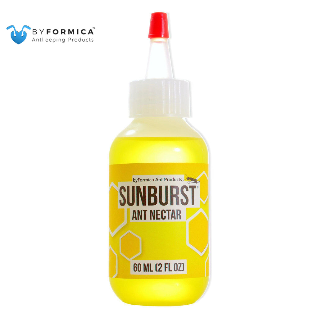 byFormica SUNBURST Ant Nectar - 60 ml