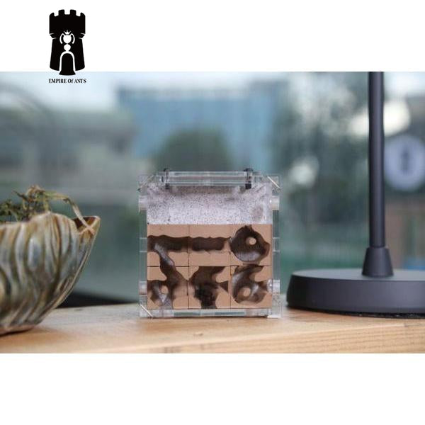 Empire of Ants Ant Planet