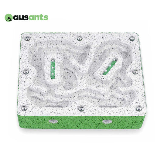 Aus Ants Ytong Nest Medium