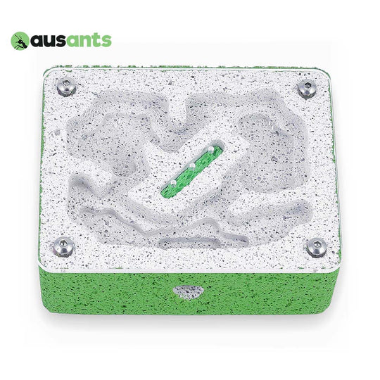 Aus Ants Ytong Nest Small