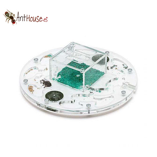 AntHouse Acri BiG3 Circle